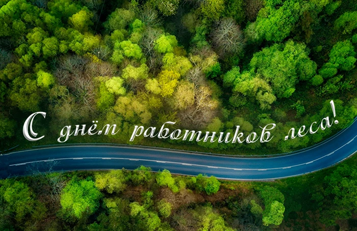 День лесоперерабатывающей промышленности